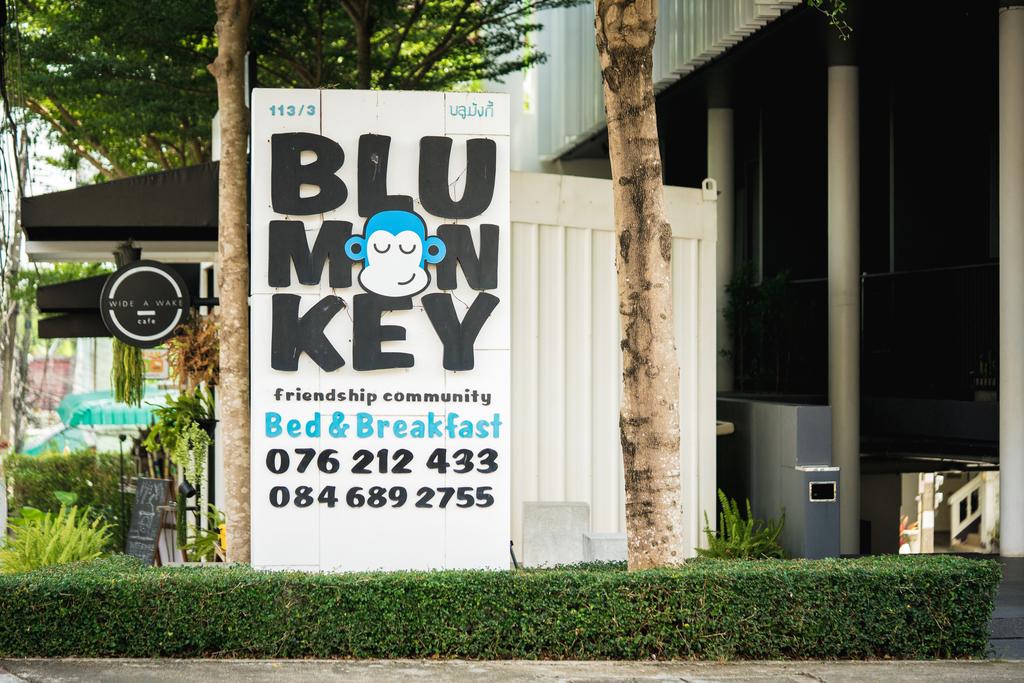 blu-monkey