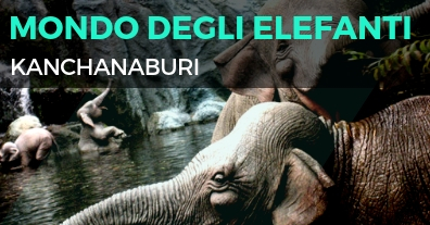 mondo-degli-elefanti-kanchanaburi-larga