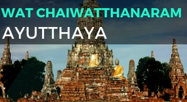 Wat Mahathat – Buddha Head sull’albero 7