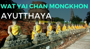 Wat Mahathat – Buddha Head sull’albero 8